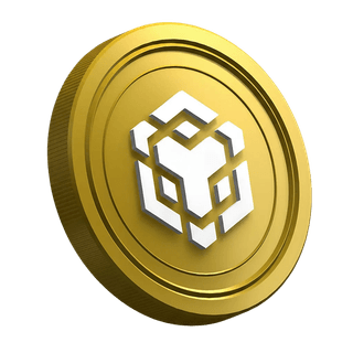 Moneda BNB pe pagina destinată ghidului pentru traderi începători